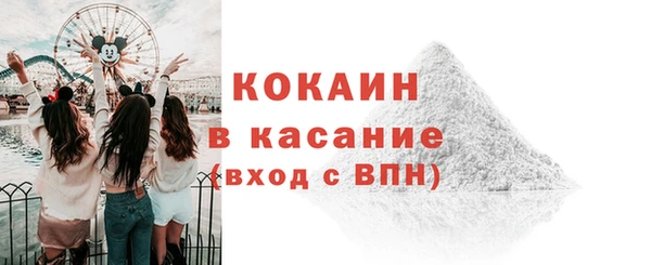 твердый Касимов