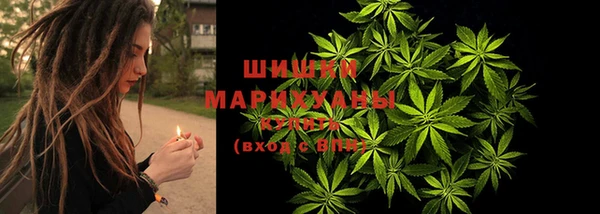 твердый Касимов