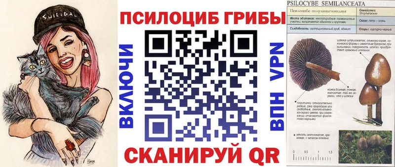 Галлюциногенные грибы Psilocybe Лабытнанги