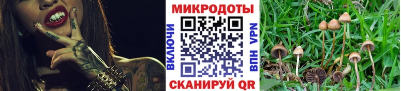 Купить где  Лабытнанги  Псилоцибиновые грибы мицелий 